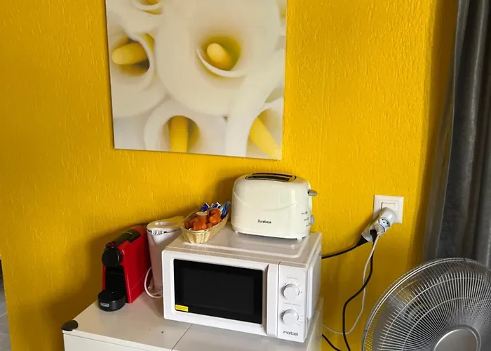 Rosy Appartement Interlaken