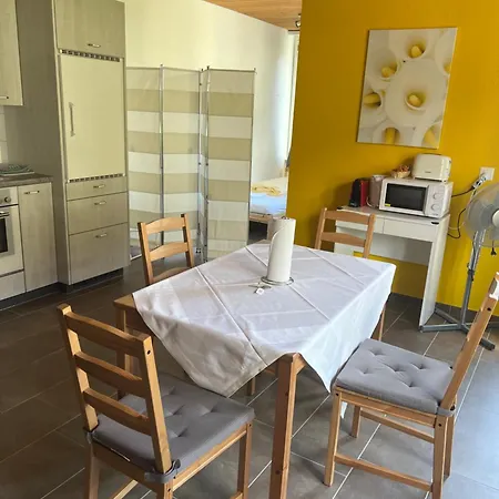 公寓 Rosy 因特拉肯