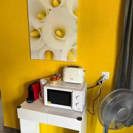 Rosy 公寓 因特拉肯